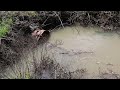 Beaver Dam Removal | Everything Goes Wrong