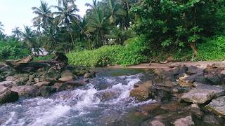 Kizhunna beach a drone view| kannur| beautiful Beach