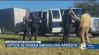 Human smuggling arrests in Tampa Bay: What we know about recent spike