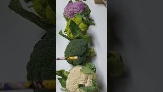 #abcd 🇮🇹 What to cook first?Cauliflower green, purple, white or broccoli? #asmr #shorts #fyp