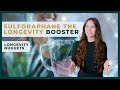 How Sulforaphane Improves Your Longevity & Health | Longevity Nugget