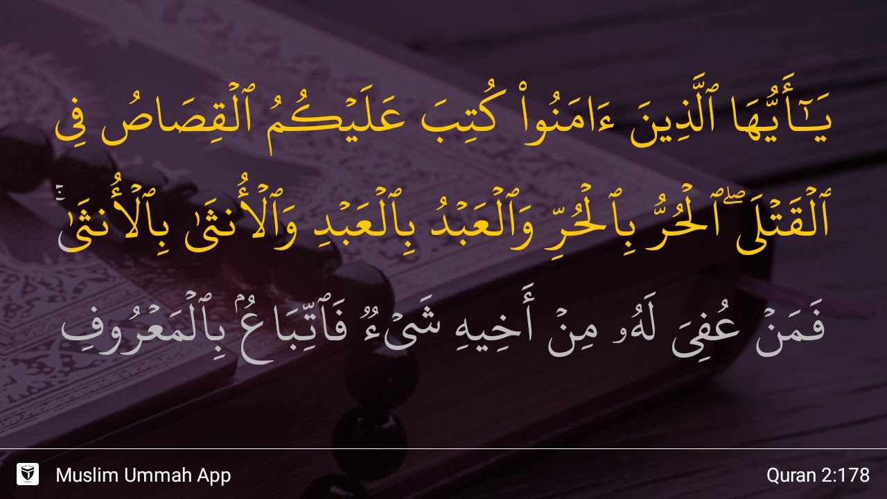 Surat Al Baqarah Ayat 178 - Virginia Mitchell