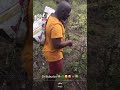 Go Down Herbs