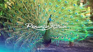 HAJARAN YANG MEMULIHKAN | Renungan Harian® (Audio)