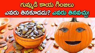 Amazing Health Benefits Of Pumpkin Seeds In Telugu | Gummadi Ginjalu | Gimmadi Kaya