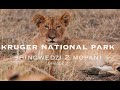 KRUGER NATIONAL PARK - A JOURNEY FROM SHINGWEDZI TO MOPANI