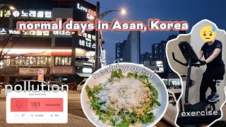 한국 아산에 사는 평범한 일상 Vlog