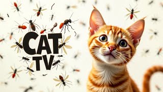 CAT GAMES | Keep Your Cat Happy and Healthy with Fun Episode 28 | 3HOURS 🐝🐞🦋🦎🦜