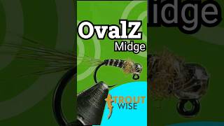 OvalZ Midge - Zebra Midge meets Disco Ball | Full Tying Tutorial on the @TroutWise  Channel