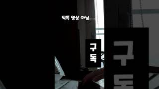 포브스 선정 틱톡에서 가장 많이 나오는 노래#short