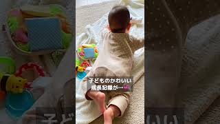 子どもの成長、スライドショーで感動→デジタルフォト・アルバム「おもいでばこ」　#おもいでばこ #ガジェット紹介 #子育て記録