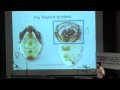 TEDxNUS - Insects and mating in the insect kingdom - Yuchen Ang