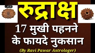 17 मुखी रुद्राक्ष के लाभ हानि | 17 Mukhi Rudraksh ke laabh haani | 17 Face rudraksh benefits