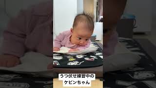 うつ伏せ練習中に横になっちゃうケビンちゃん【生後2ヶ月】