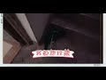 【小黑猫警长日记305】带小黑黑回家，小黑黑慌不择路。