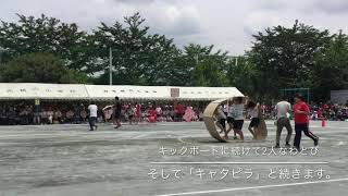 和光鶴川小学校 第26回 運動会 その5 グランプリレース