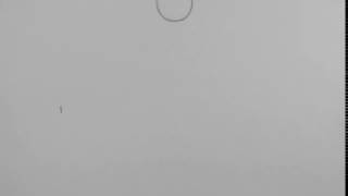 bouncing ball line test 001