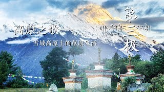 【Roof of the World】第三极|EP3 高原之歌