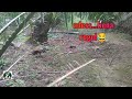 Ayam Hutan Pikat Betina F1 #30