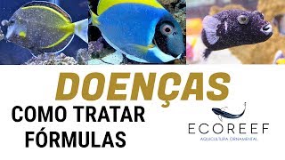 RECEITAS P/ TRATAR DOENÇAS de PEIXES de AQUÁRIO MARINHO - Vídeo aula com Dr. Miguel Mies