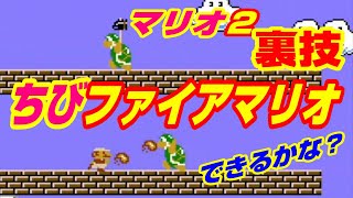 (スーマリ2)マリオ2でも ちびファイアマリオ の裏技が出来るかな？ ミニファイアマリオ ちびファイヤーマリオ