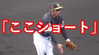 松田宣浩「日本一動かないサード」自分で証明する ホークス春季キャンプ （2018 0221）