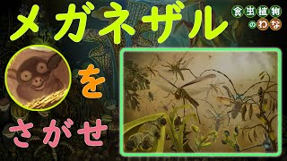 【メガネザルをさがせ】この絵の中にメガネザルがいます。絵本『食虫植物のわな』（偕成社）より