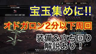 【ＭＨＷ】惨爪竜の宝玉集めに！オドガロン２分以下周回！（装備解説付き）