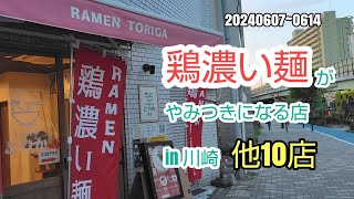 川崎暮らしオヤジの外食の日々　鶏雅　他10店【飯テロ】