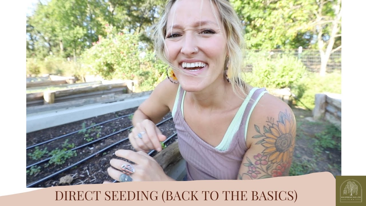 Direct Seeding Back To The Basics Youtube