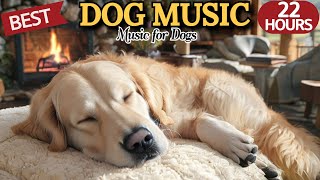 20 HOURS of Dog Calming Music💖🐶Restful Dog Sleep Sounds🐶Separation Anxiety Relief💖⭐HealingMate