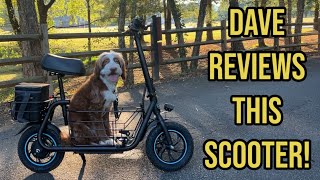 My Mini Goldendoodle Rides A Scooter With Me! Gyroor C1S Electric Scooter