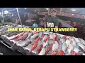 Terjah Lokasi Popular Makan Makanan Malam Seafood Enak Makanan Laut di Kota Kinabalu Sabah Vlog