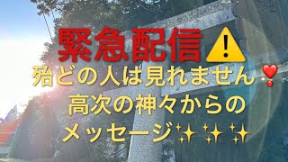 天赦日×一粒万倍日×寅の日　宇宙元旦の善き日に高次の神々からのメッセージを受け取って🌈🌈🌈♯開運♯パワースポット♯地球船龍神丸♯瀬織津姫命♯大国主♯天赦日