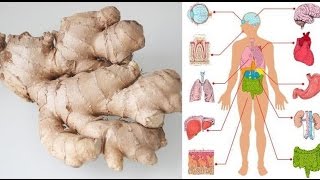 This will happen to your body if you eat ginger every day for one month