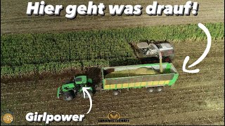 Hier geht was drauf! Girlpower in der Maisernte die 15.000ha Mais Kampagne mit Köhl Harvest 990 TT