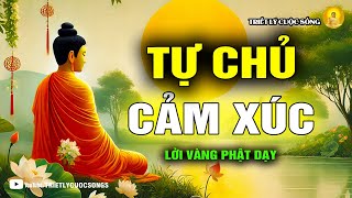 Cách Từ Bỏ Phiền Não Và Kiểm Soát Cảm Xúc Một Cách Thông Minh