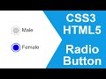 How to Create Custom Radio Button using CSS | Radio Button with HTML and CSS