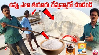 ఉప్పు ఎలా తయారు చేస్తున్నారో చూడండి || How to Make Salt from sea naturally || SumanTV Life