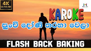 Punchi Doni Tharaha Wela Karaoke (without voice) පුංචි දෝණි තරහා වෙලා | Sinhala Music Tracks