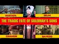 The Tragic Fate of Sultan Suleiman's sons (mustafa, mehmed, bayezid, cihangir, selim)