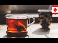 Tea bags release billions of microplastics into your tea - TomoNews