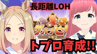 【ウマ娘 育成】ナリタトップロードでLOH勝つための育成！【人妻新人Vtuber 寿ほまれ】