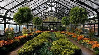 Niagara Parks presents the Chrysanthemum Show