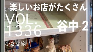 谷中散歩の続き動画【vol 1336非常に楽しいお店がたくさんありますね】