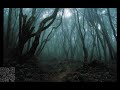 dark forest shankra festival blisargon demogorgon shankra festival 2018 music application