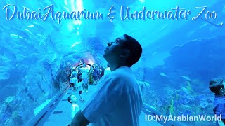 DUBAI AQUARIUM AND UNDERWATER ZOO FAMILY TOUR