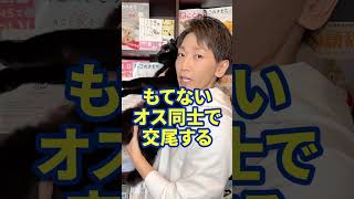 意外と知らない猫の面白い【恋愛雑学】６選