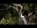 sarasota county jelks preserve