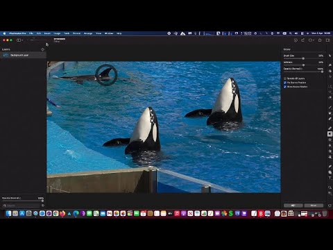 Clone objects in a photo with Pixelmator Pro on a Mac